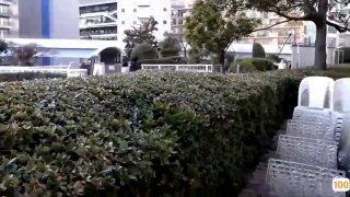 8050午夜半夜影院⭕❌亚洲精品99久久久久中文字幕
